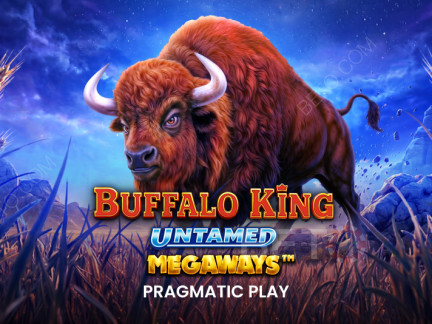 Czech: Buffalo King Untamed Megaways Demo